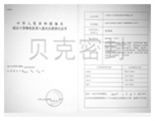 Customs Declaration Registration Certificates    
